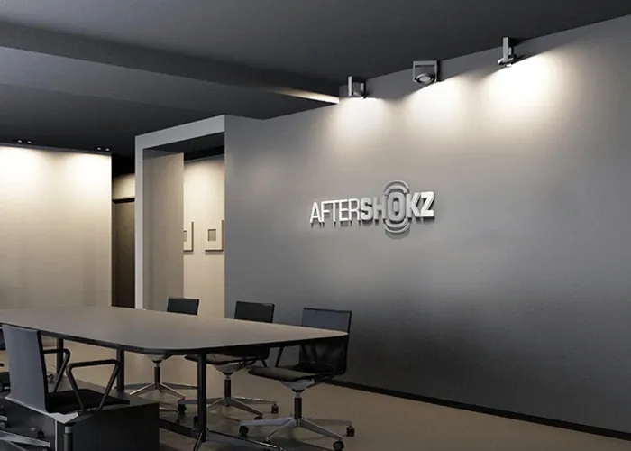 Shokz 2011