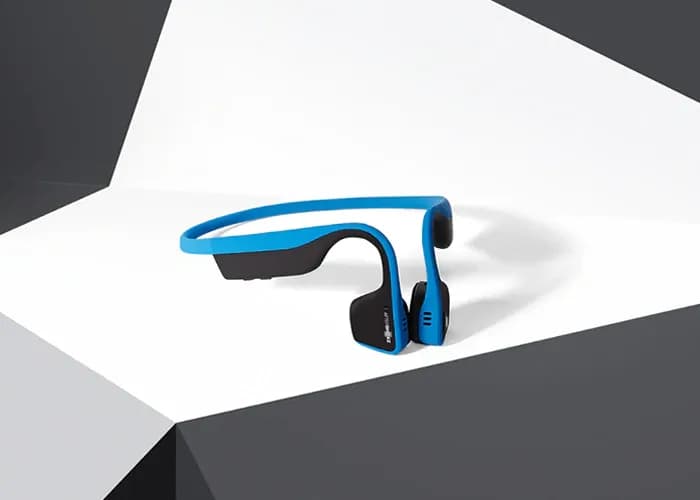 Shokz 2015