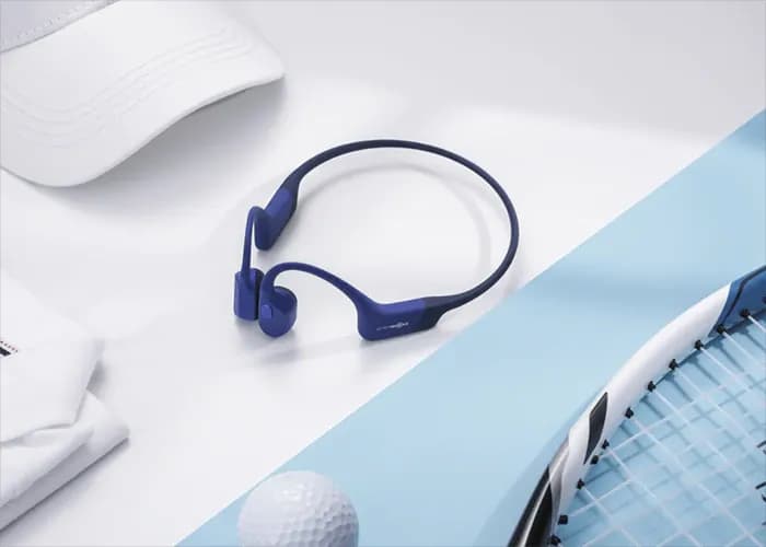 Shokz 2019