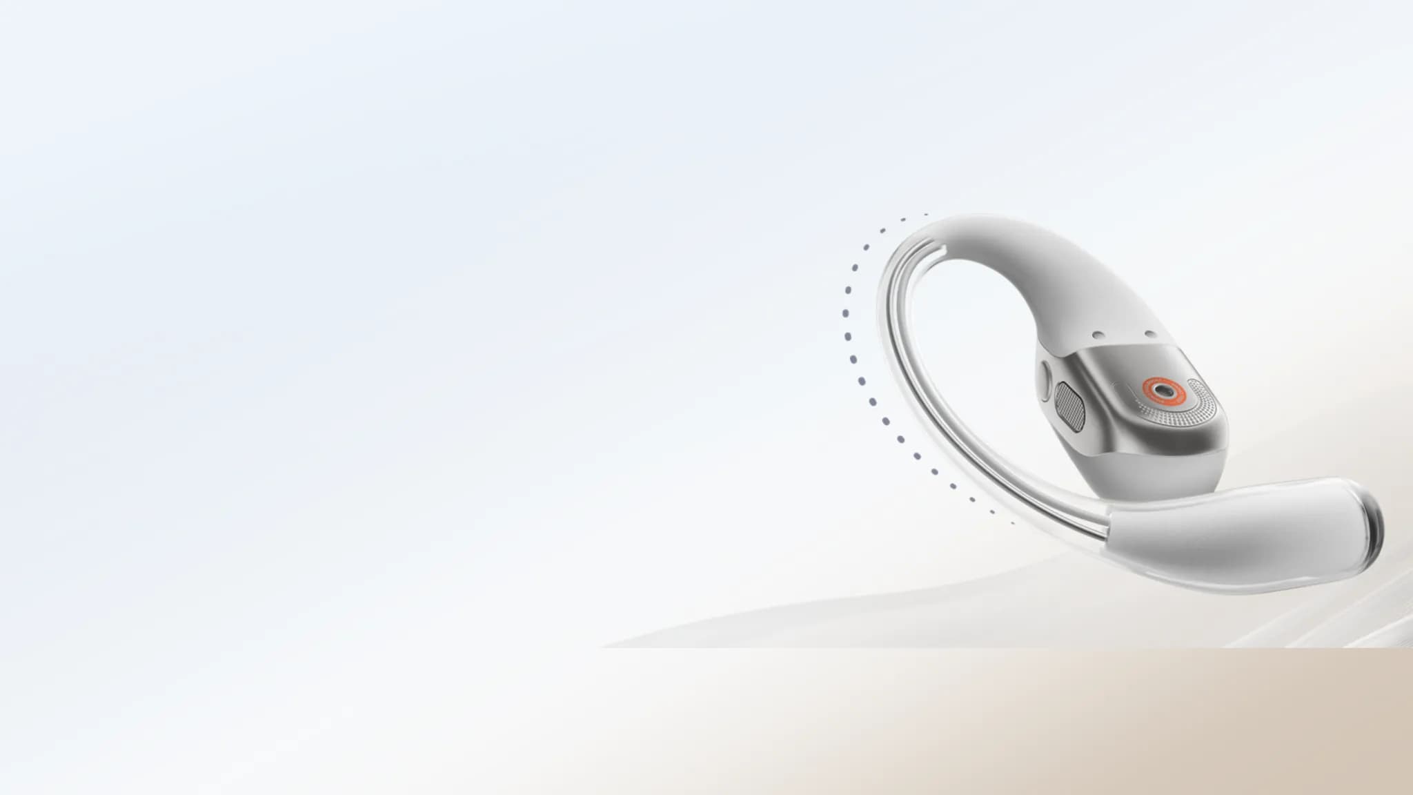 Ear hook