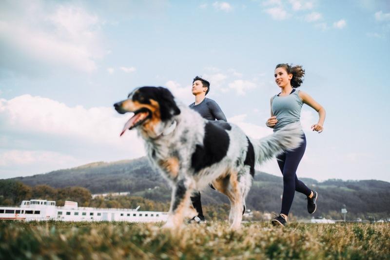 Chạy bộ giúp rèn luyện thể lực của bạn và cả chú cún của bạn